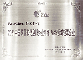 年度iPaas领域领军企业